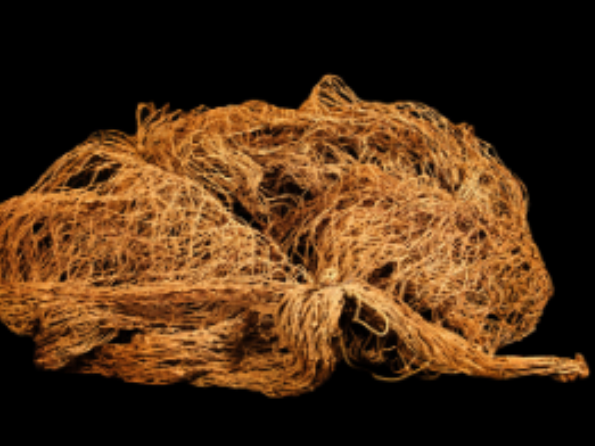 Abor Tribe’s Cast Net Abor Tribe’s Cast Net