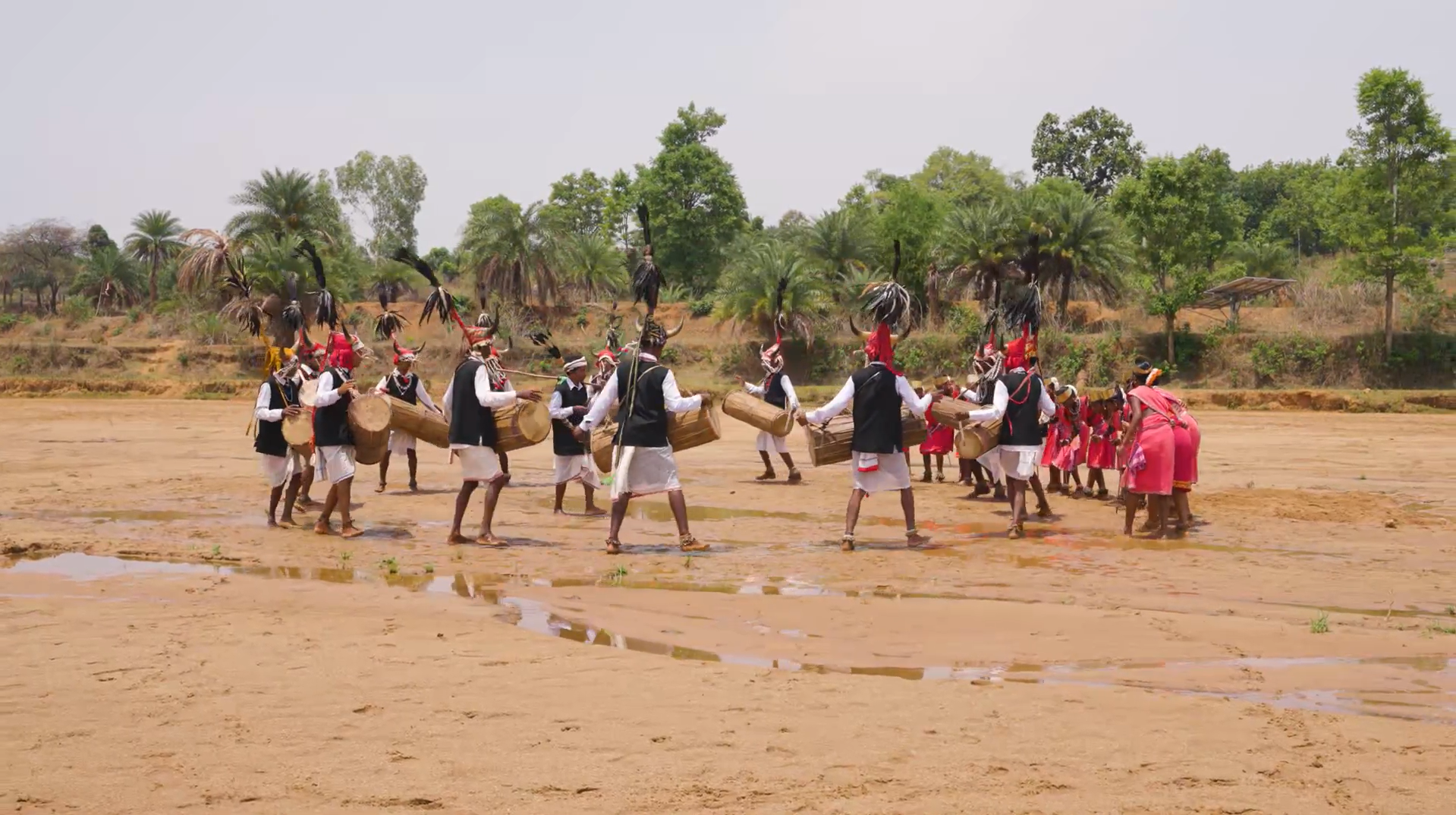 Gaur Gaur