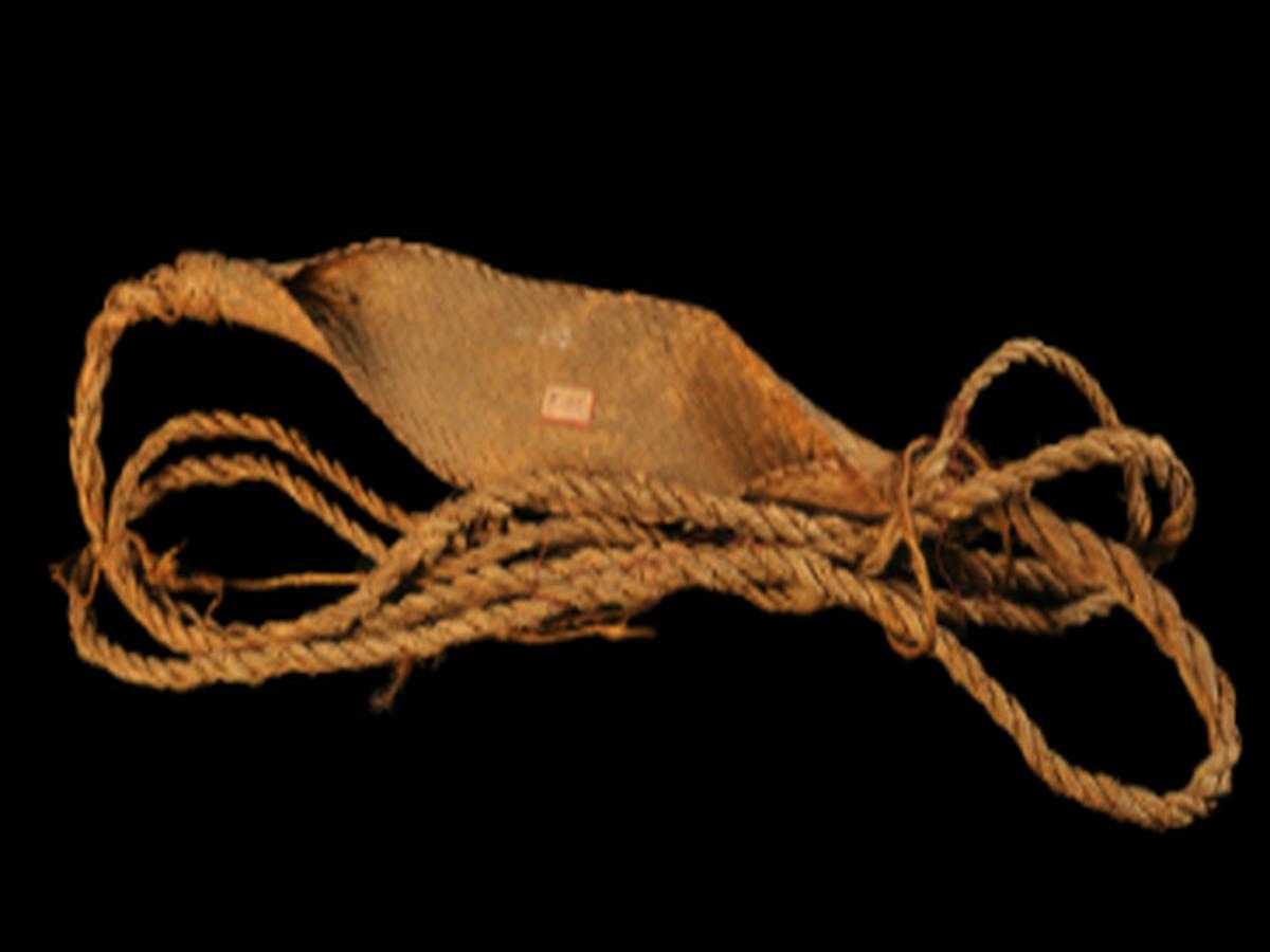Cane Strap Cane Strap