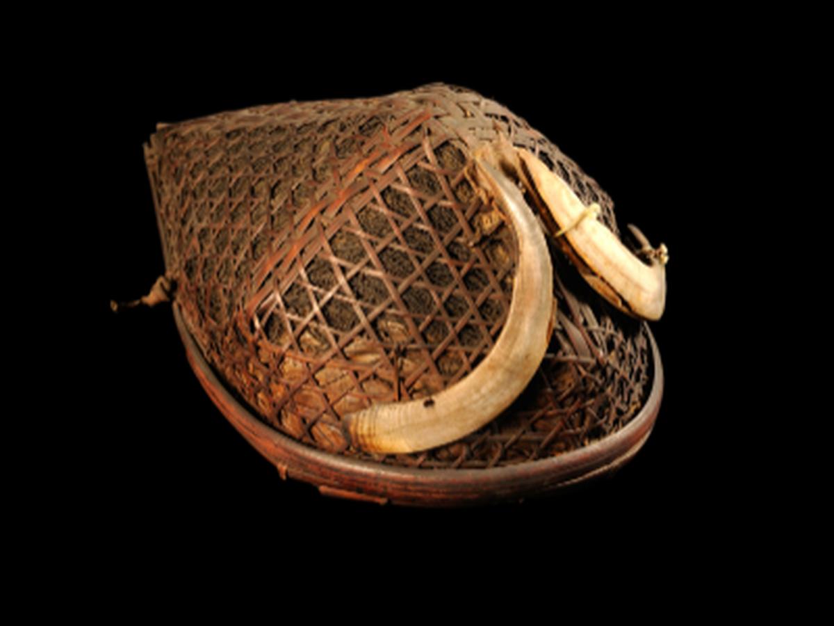 Beak-Shaped Cane Helmet Beak-Shaped Cane Helmet