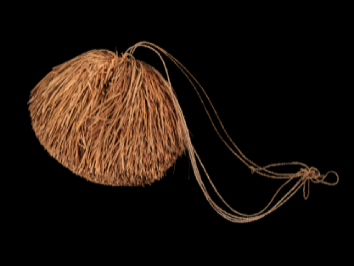A cane tussle A cane tussle