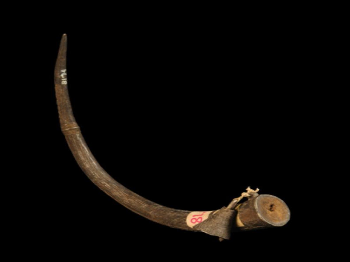Ornamental brass horn Shinga Ornamental brass horn Shinga