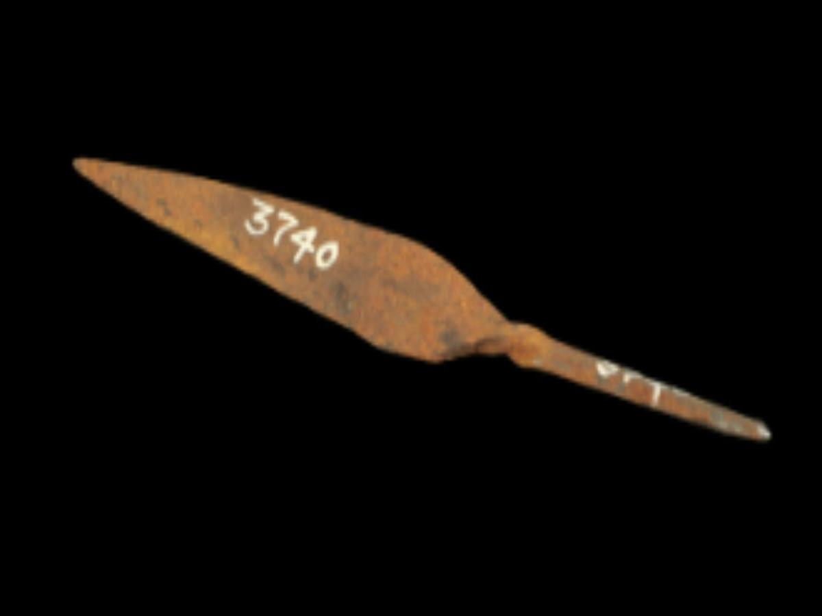 Fishing & Hunting Tool Fishing & Hunting Tool