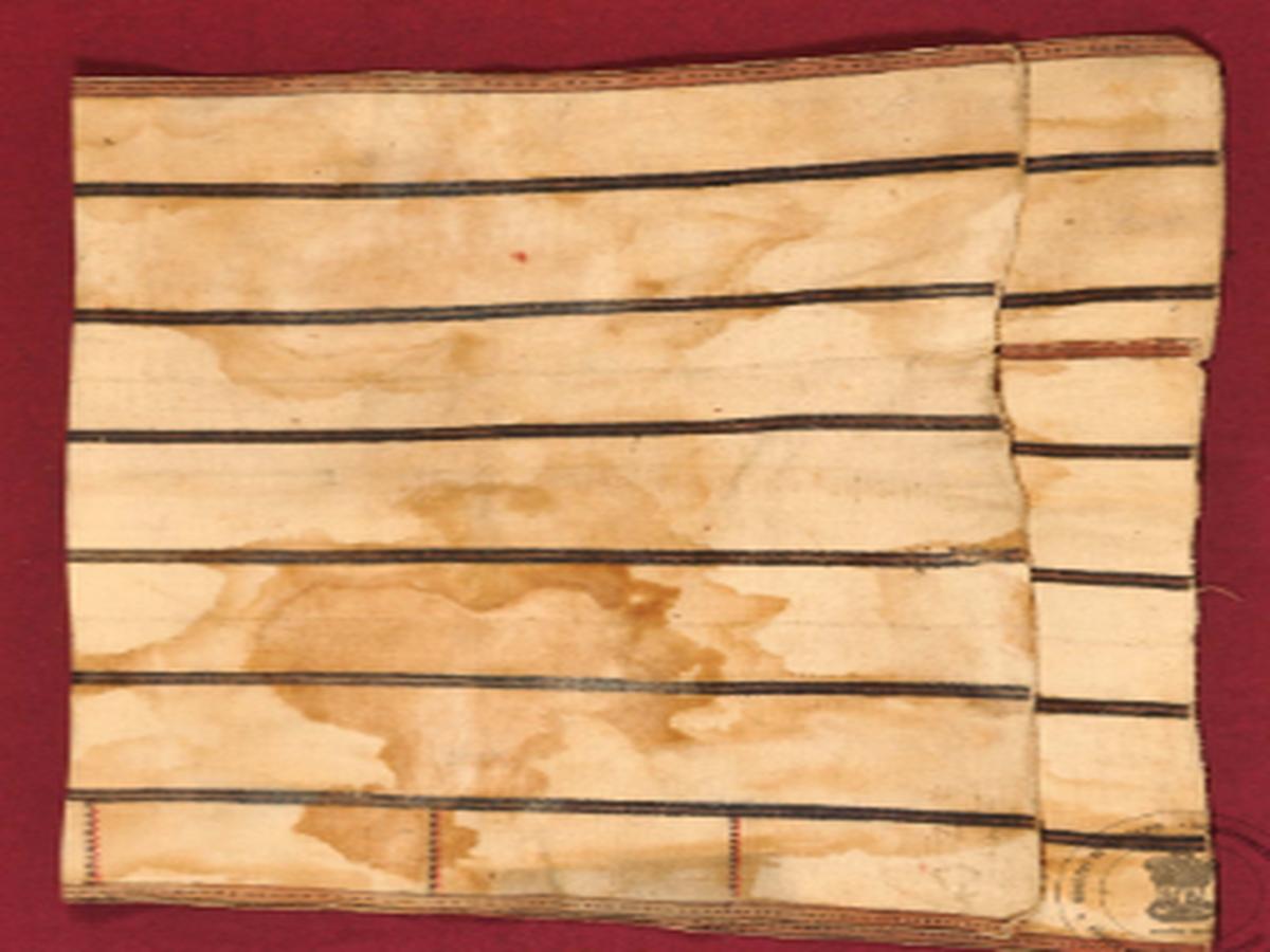 Angami naga tribe skirt Angami naga tribe skirt