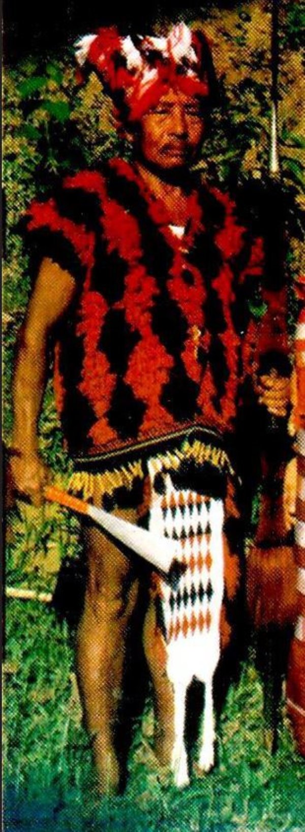 Traditional Traditional